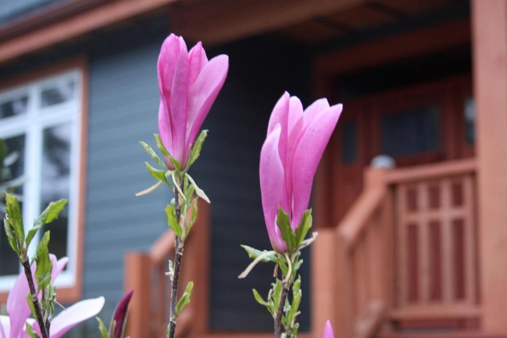 Coast And Toast Bed & Breakfast Ucluelet Exterior photo